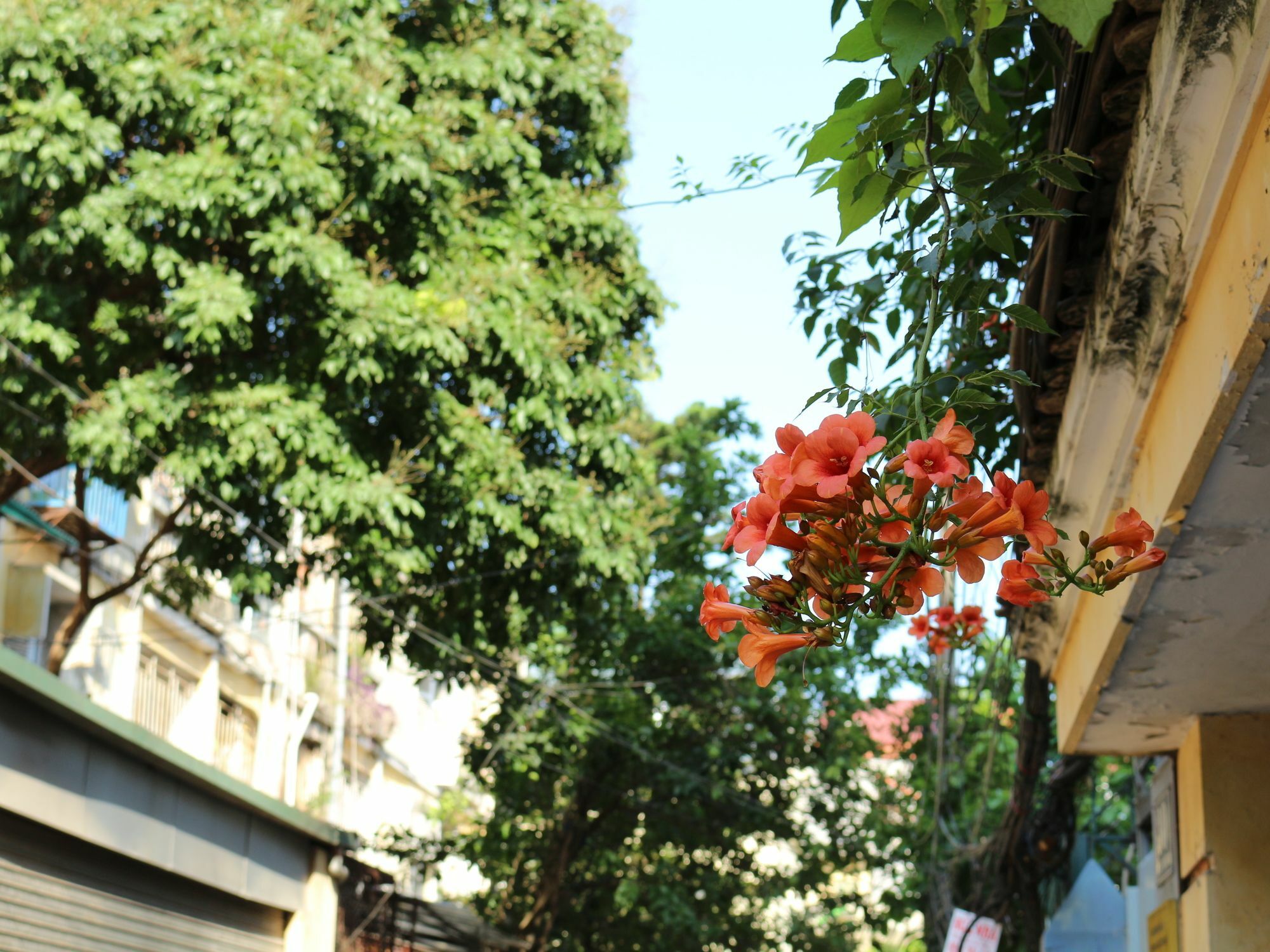 Palmo Hotel & Apartment 1 Hanoi Bagian luar foto